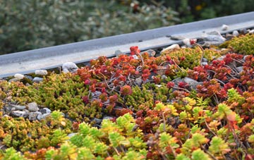 the cost of Antons Gowt green roof installation