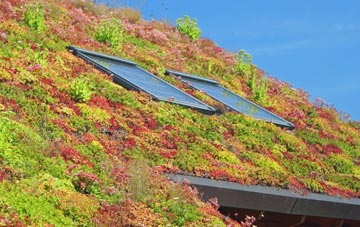 Antons Gowt living roof systems