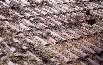 Antons Gowt roof cleaning companies