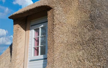 Antons Gowt thatch roof disadvantages
